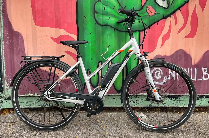 1-Hour E-Bike Rental in Austin - Before you ride: the quick fit and e-bike rundown