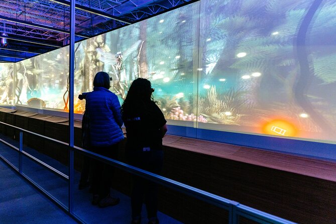 Africa Hologram Adventure at Zoocade - A family add-on option that changes the value