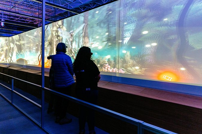 Africa Hologram Adventure at Zoocade - What about the picture booth and the short videos?