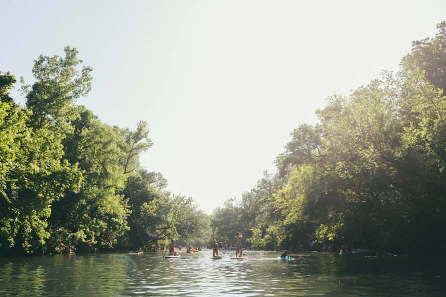 Austin: Downtown Skyline Kayaking Tour - Barton Springs water: crystal clarity and wildlife searching