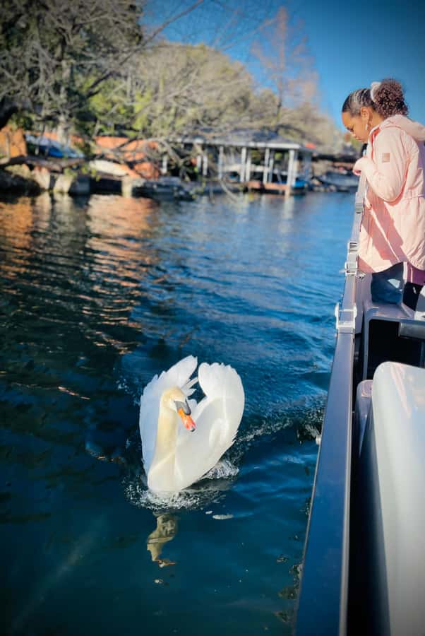 Austin: Lake Austin Private Boat Cruise - Full Sun Shading - Food, drinks, and the rules that affect your day