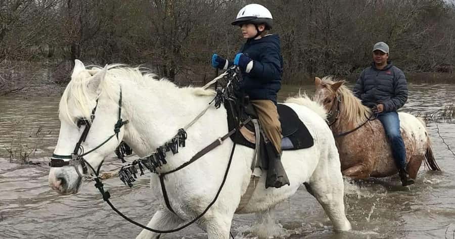 Austin: Maverick Horsemanship Trail Ride - Getting Your Bearings: Arrival, Gates, and the Ranch Setup
