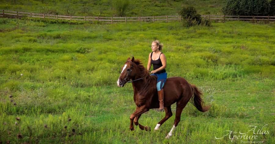 Austin: Maverick Horsemanship Trail Ride - The Ride Timeline: 210 Minutes Total, 1.5–2 Hours in the Saddle