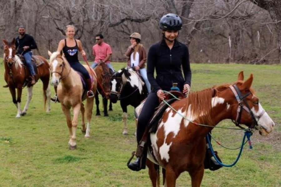 Austin: Maverick Horsemanship Trail Ride - Trot and Canter Opportunities: How They Usually Work in Practice