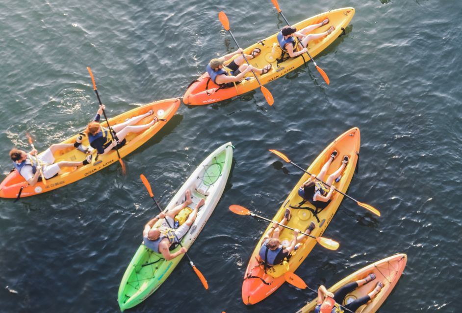 Austin: Single or Double Kayak Rental - Check-in at Waller Creek Boathouse: the IDs, waiver, and where to line up