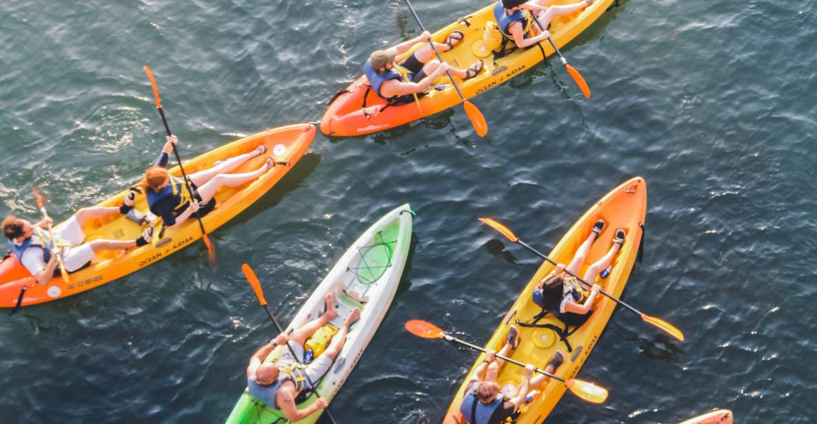 Austin: Single or Double Kayak Rental - Downtown Austin views from Lady Bird Lake: sightseeing without the sidewalk crowd