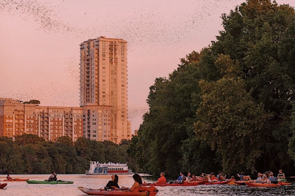 Austin: Sunset Bat Watching Kayak Tour - Paddling Lady Bird Lake at dusk: skyline views and bridges