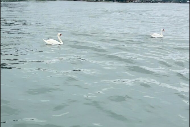 BYOB Party Boat for All Events, Bachelor(ettes), Birthdays. - Quick hits before you book