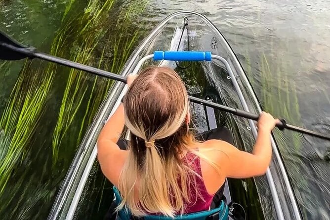 Clear Kayak Day Adventure Tour in San Marcos - Wildlife education without the lecture vibe