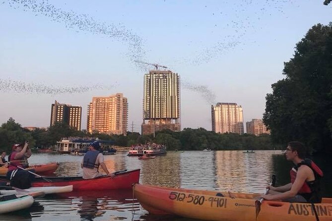 Congress Avenue Bat Bridge Kayak Tour in Austin - Getting on the water with Lone Star Kayak Tours (and why hard-frame kayaks matter)