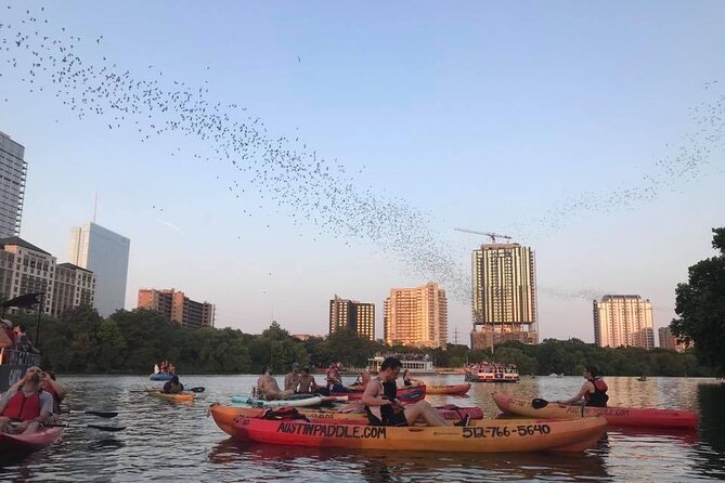 Congress Avenue Bat Bridge Kayak Tour in Austin - Price and value: is $50 a smart buy for this kind of Austin night?