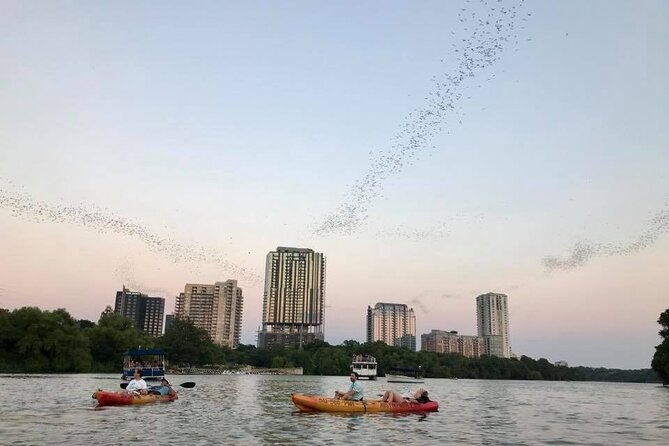 Congress Avenue Bat Bridge Kayak Tour in Austin - Weather and how it affects the bat show (fast reality checks)