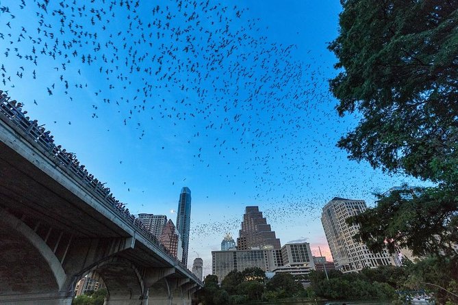 Congress Avenue Bat Bridge Kayak Tour in Austin - Stop 2: paddling Austin’s skyline from the river after dark
