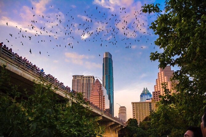 Congress Bridge Kayaking Bat Tour - How the Bat Show Actually Shapes the Experience
