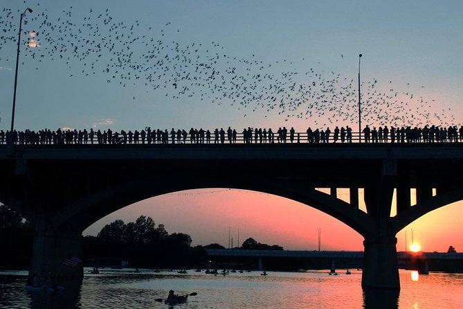 Downtown Austin Giant Paddleboard Sunset Tour with Bats - Key things that make this paddleboard bat tour stand out