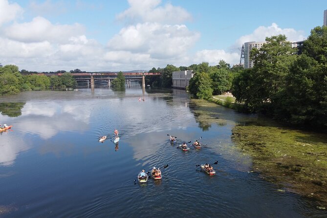 Downtown Austin Skyline Clear Kayak Tour at Lady Bird Lake - Stop 5: Barton Springs Pool and the local hangout energy