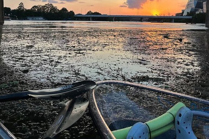 Downtown Austin Skyline Clear Kayak Tour at Lady Bird Lake - Price and value: $55 for gear, safety, and prime sights