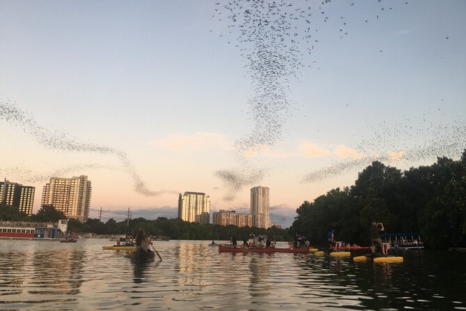 Downtown Austin Sunset Kayak Tour with 1.5 Million Bats - Why Austin’s bat show hits different from a kayak