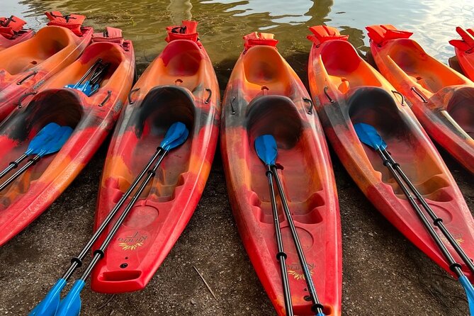 Downtown Austin Sunset Kayak Tour with 1.5 Million Bats - After dark: city lights, easy paddling, and small safety tips