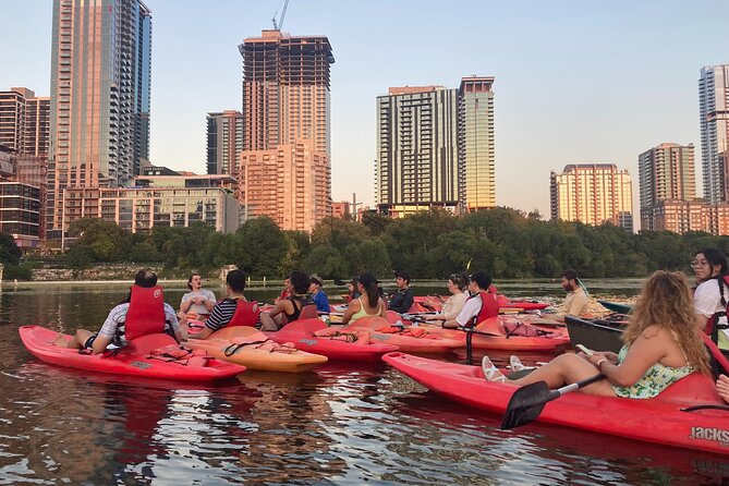 Evening Bat Watching Kayak Tour - Key highlights and what matters most