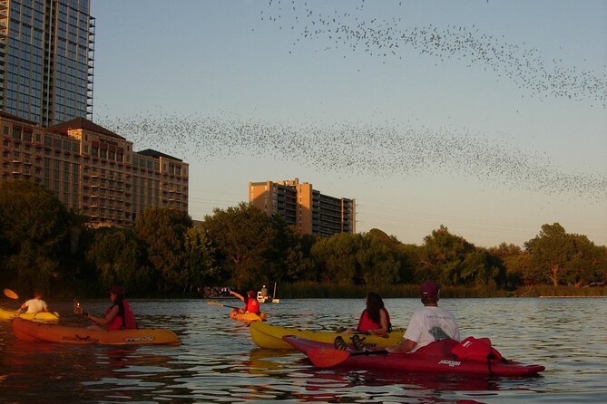 Evening Bat Watching Kayak Tour - Price and value: what $49 buys you in Austin
