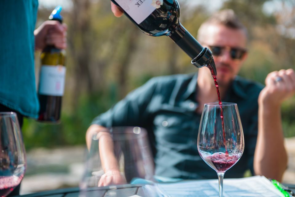 From Austin: Half-Day Hill Country Wine Shuttle - Why This Austin Hill Country Wine Shuttle Works for Real Schedules