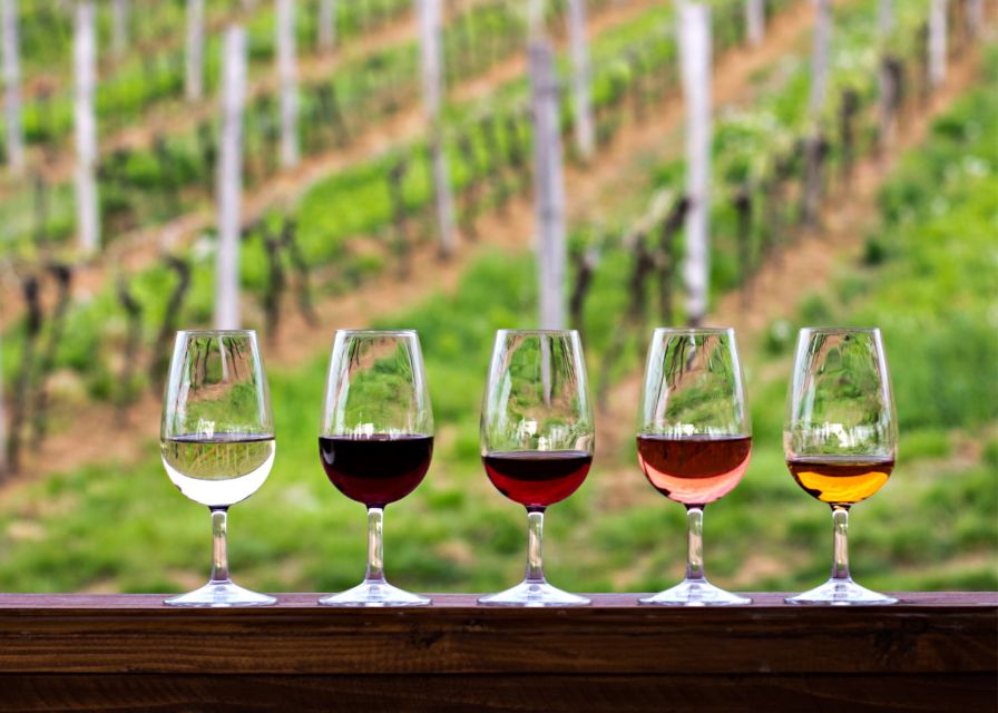From Austin: Half-Day Hill Country Wine Shuttle - The Hill Country Stops: Two Tastings With a Real Sense of Place