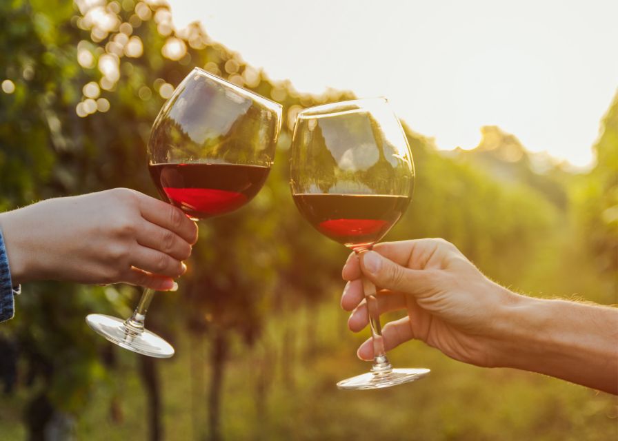 From Austin: Half-Day Hill Country Wine Shuttle - Should You Book This Half-Day Hill Country Wine Shuttle?