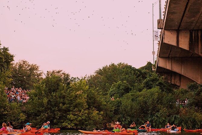 Guided Sunset Bat Kayak Tour in Austin - What You’re Really Paying For: $55 for 2 Hours on the Water
