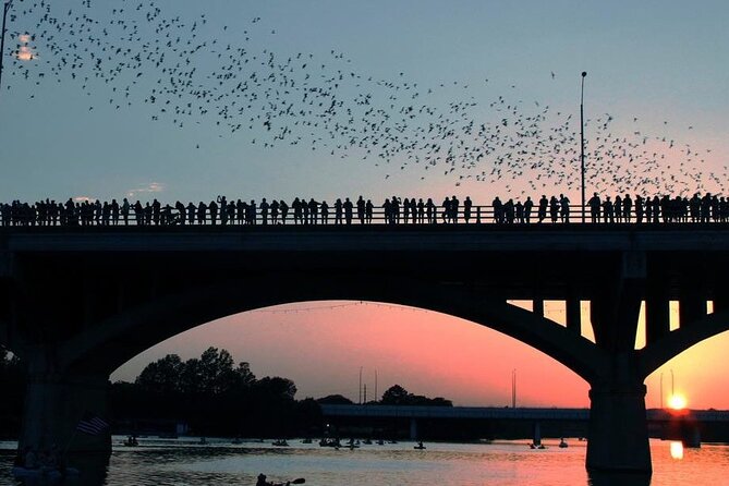 Guided Sunset Bat Kayak Tour in Austin - When Bats Feel Slower: Timing and Season Reality