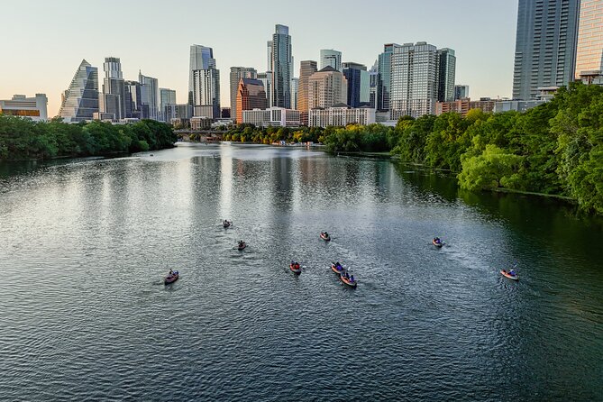 Kayak or Paddle Board Sunset Bat Tour - Key Points to Know Before You Go
