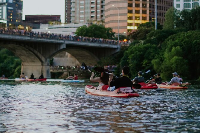 Kayak or Paddle Board Sunset Bat Tour - How the 90-Minute South Congress Bridge Stop Works