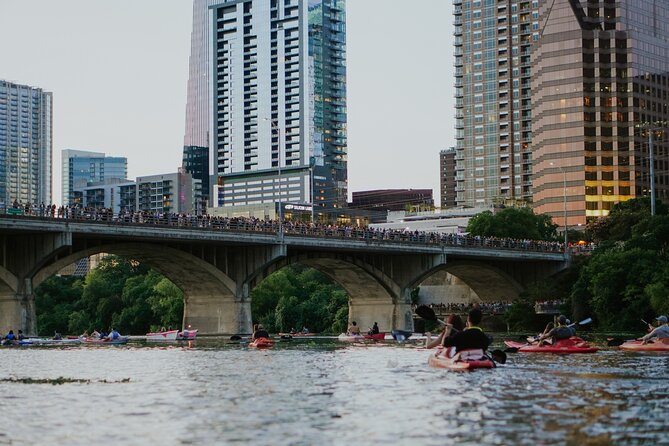 Kayak or Paddle Board Sunset Bat Tour - The Views After Sunset: Skyline Lights From the Lake