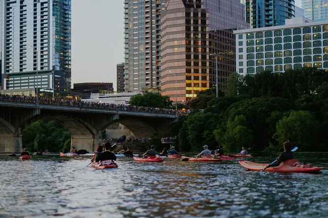 Kayak or Paddle Board Sunset Bat Tour - Safety and Guide Support: Why It’s Not Just a Rental
