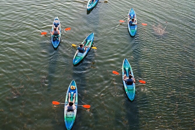 Kayak Rentals on Lady Bird Lake - Austin skyline views from Lady Bird Lake: what to actually watch for