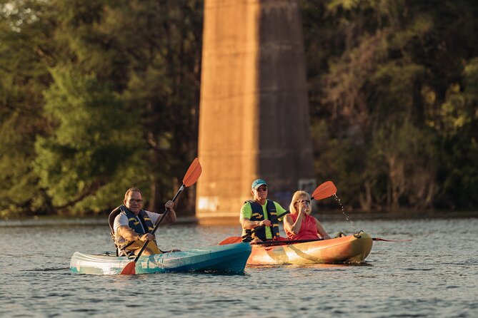 Kayak Rentals on Lady Bird Lake - Wildlife, calm stretches, and the “real Austin” feeling