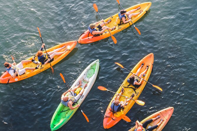 Kayak Rentals on Lady Bird Lake - Paddling under Congress Avenue Bat Bridge (and why it’s worth the effort)