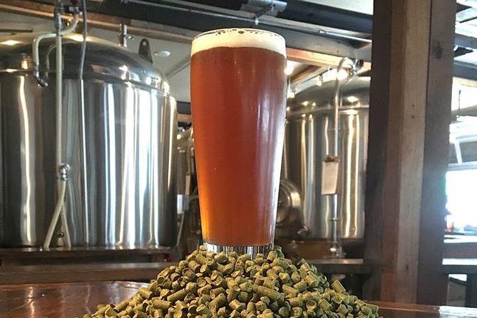 Taco 'Bout Austin Bicycle Tour - Stop 1: Hops & Grain Brewing to Set the Tone