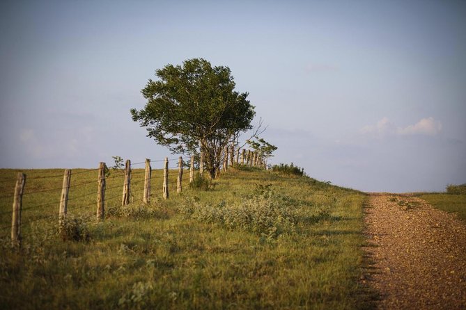 Texas Hill Country Olive Oil and Balsamic Vinegar Tasting - Key Takeaways Before You Go